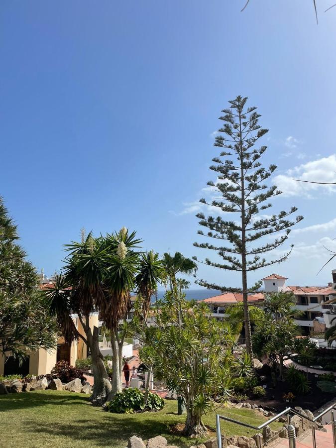 Paraiso Albatros, Beautiful Complex San Miguel de Abona Kültér fotó