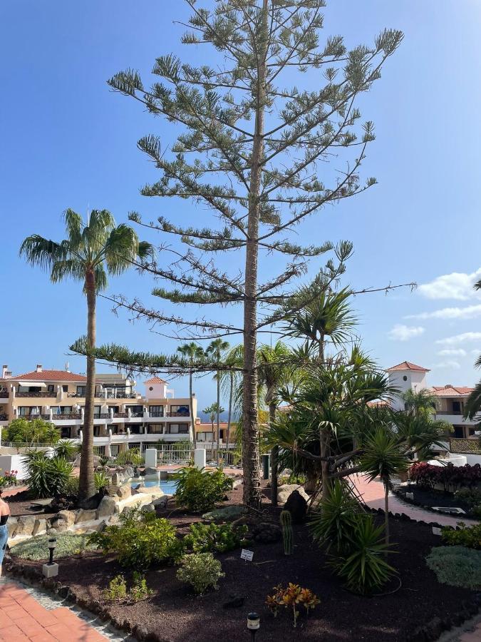 Paraiso Albatros, Beautiful Complex San Miguel de Abona Kültér fotó